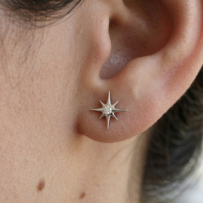 Strieborná labreta 'Silver North Star'