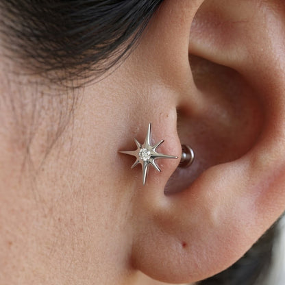 Strieborná labreta 'Silver North Star'