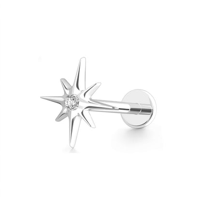 Strieborná labreta 'Silver North Star'