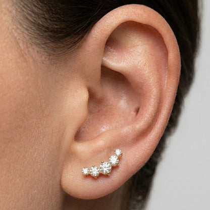 Stellar Arc 'Titanium'